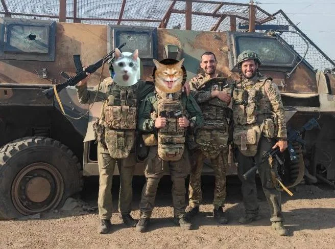 Изображение к публикации