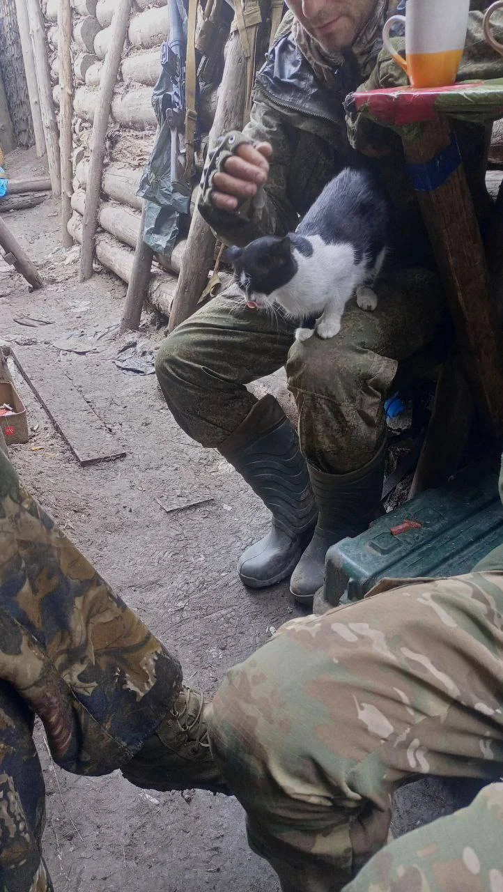 Изображение к публикации