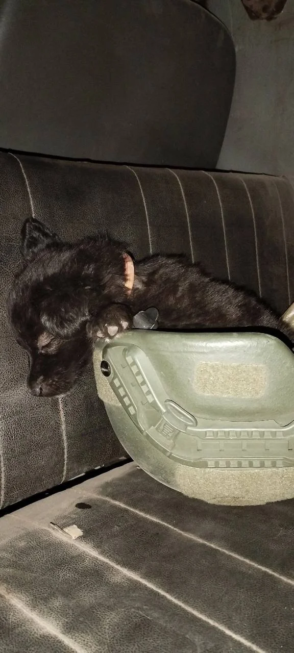 Изображение к публикации