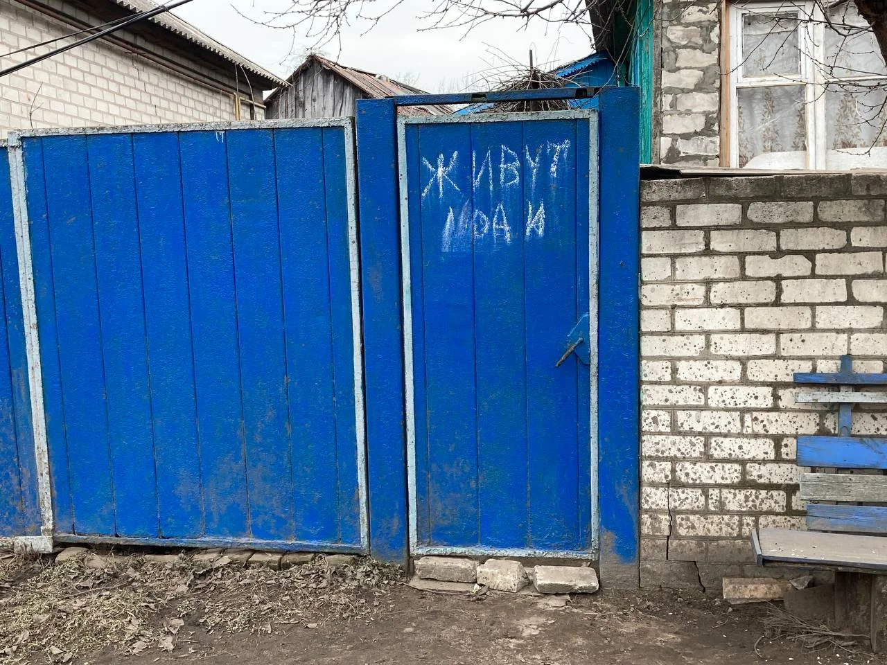 Изображение к публикации