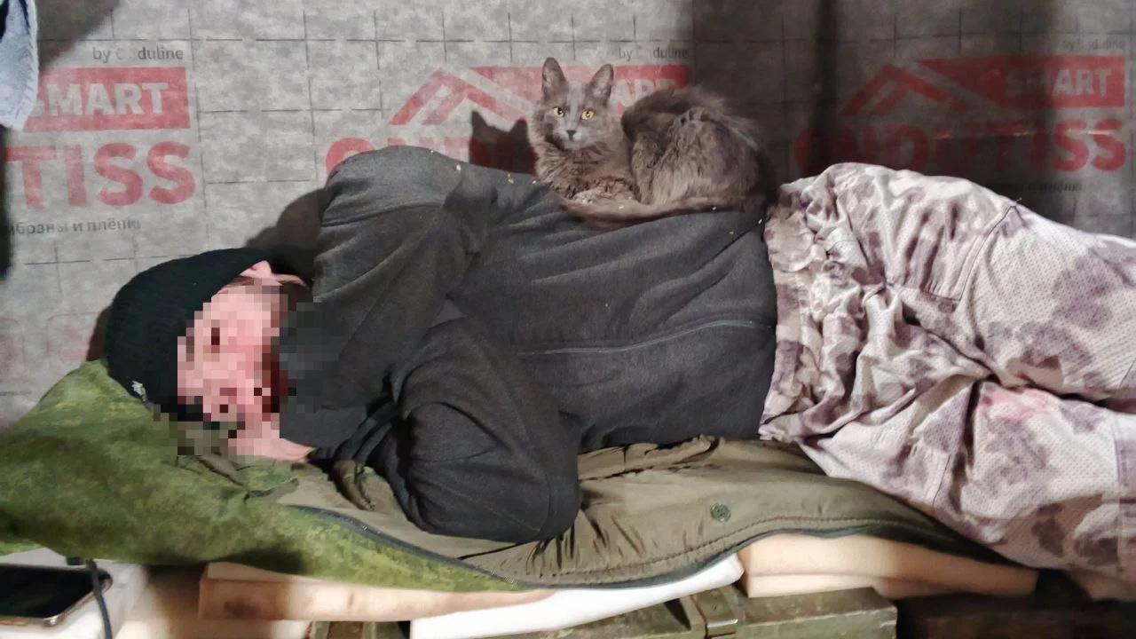 Изображение к публикации