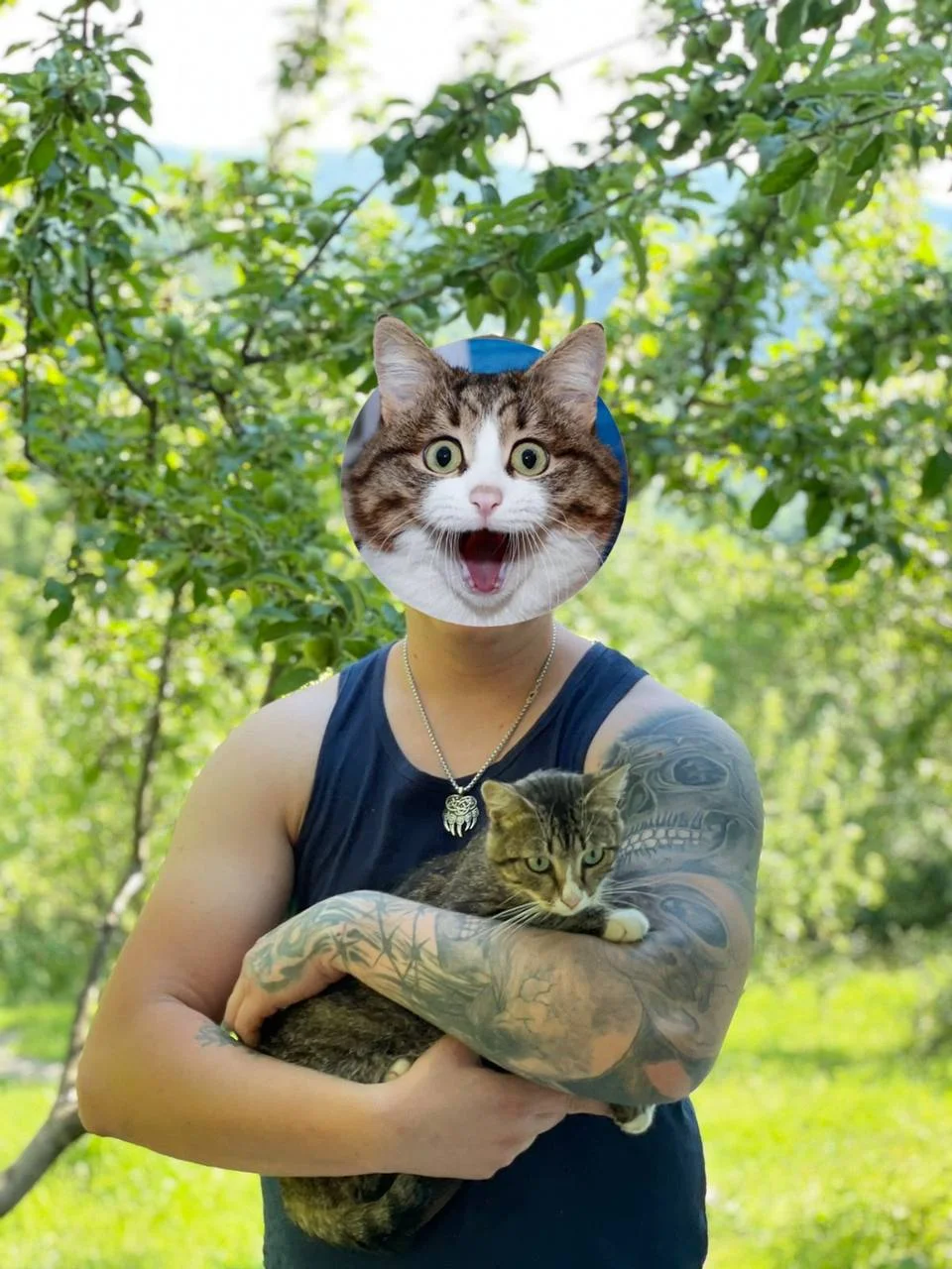 Изображение к публикации