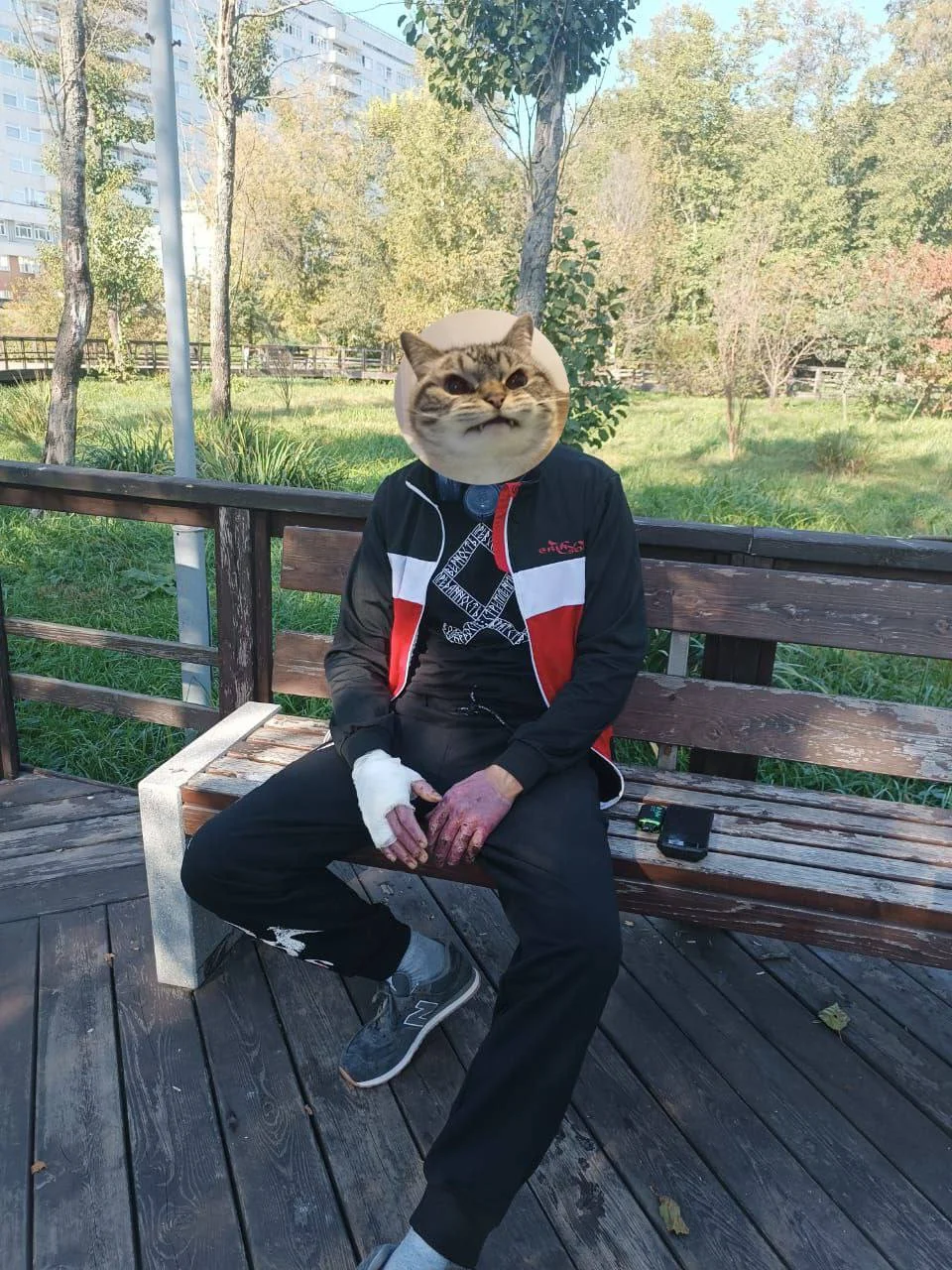 Изображение к публикации