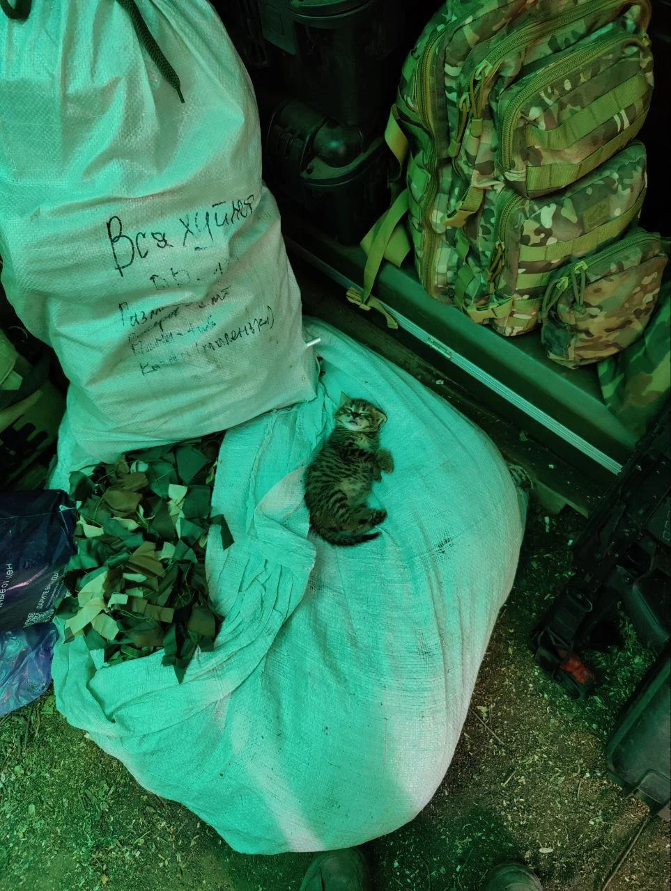 Изображение к публикации