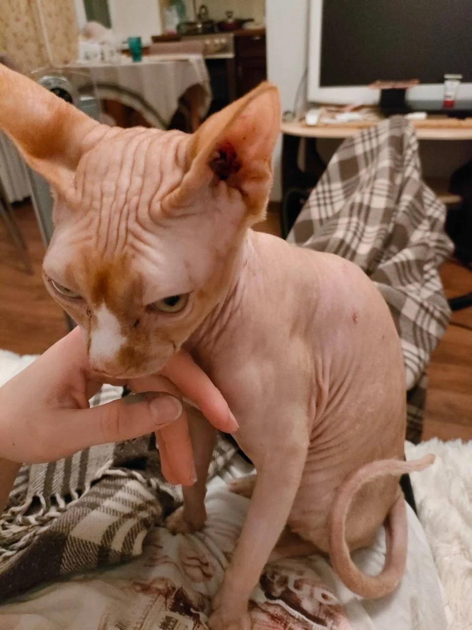 Изображение к публикации