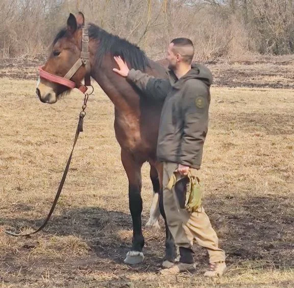 Изображение к публикации