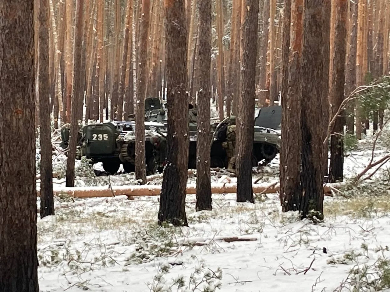 Изображение к публикации