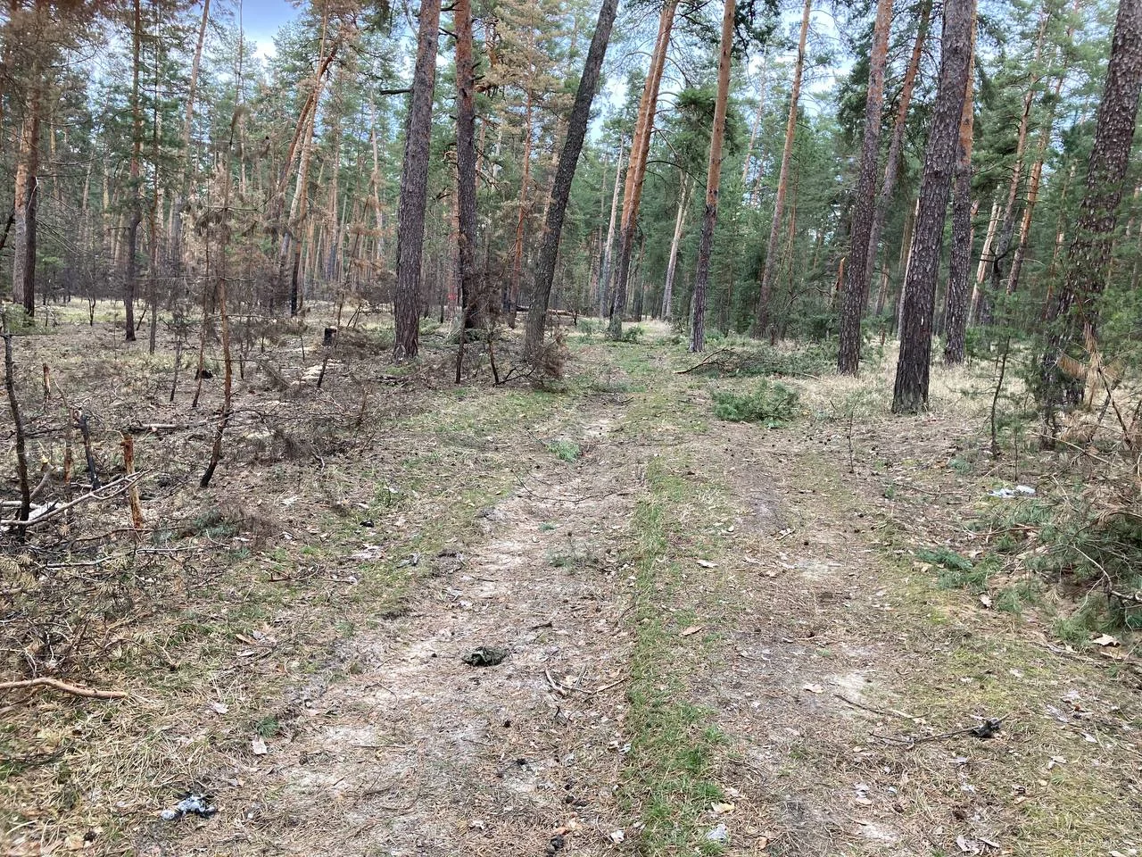 Изображение к публикации