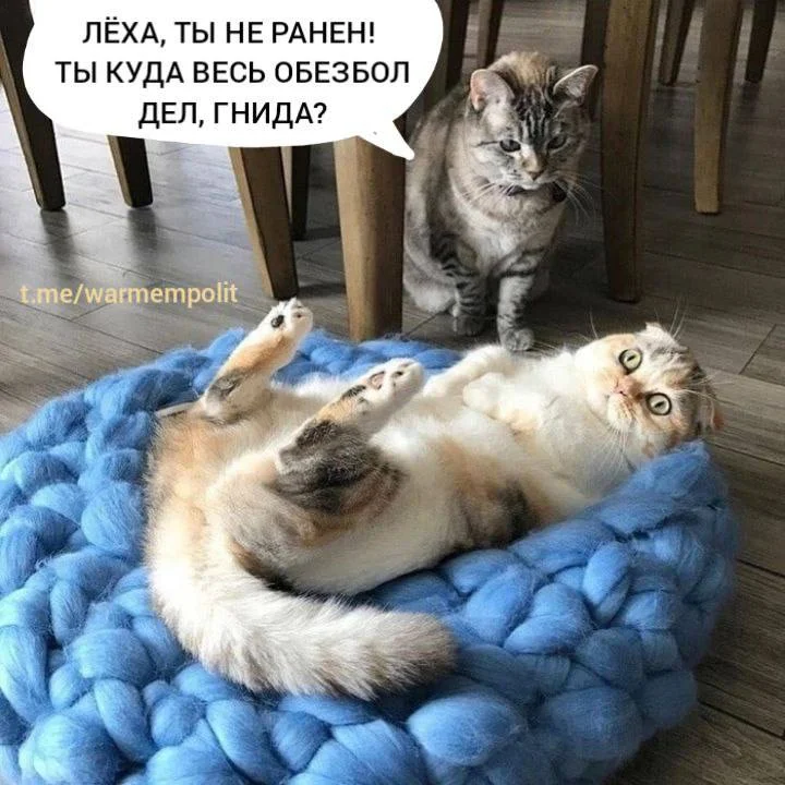 Изображение к публикации