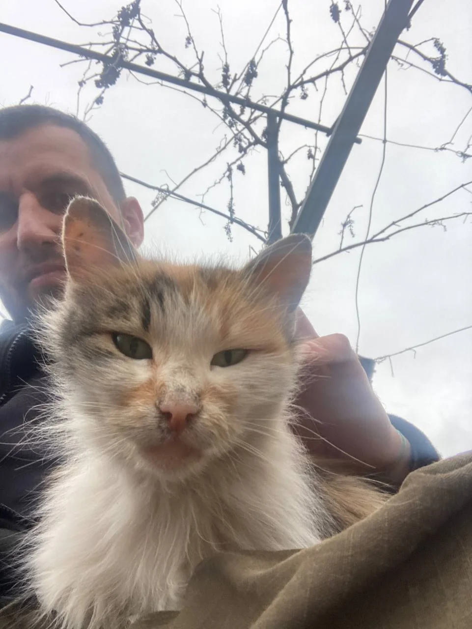 Изображение к публикации