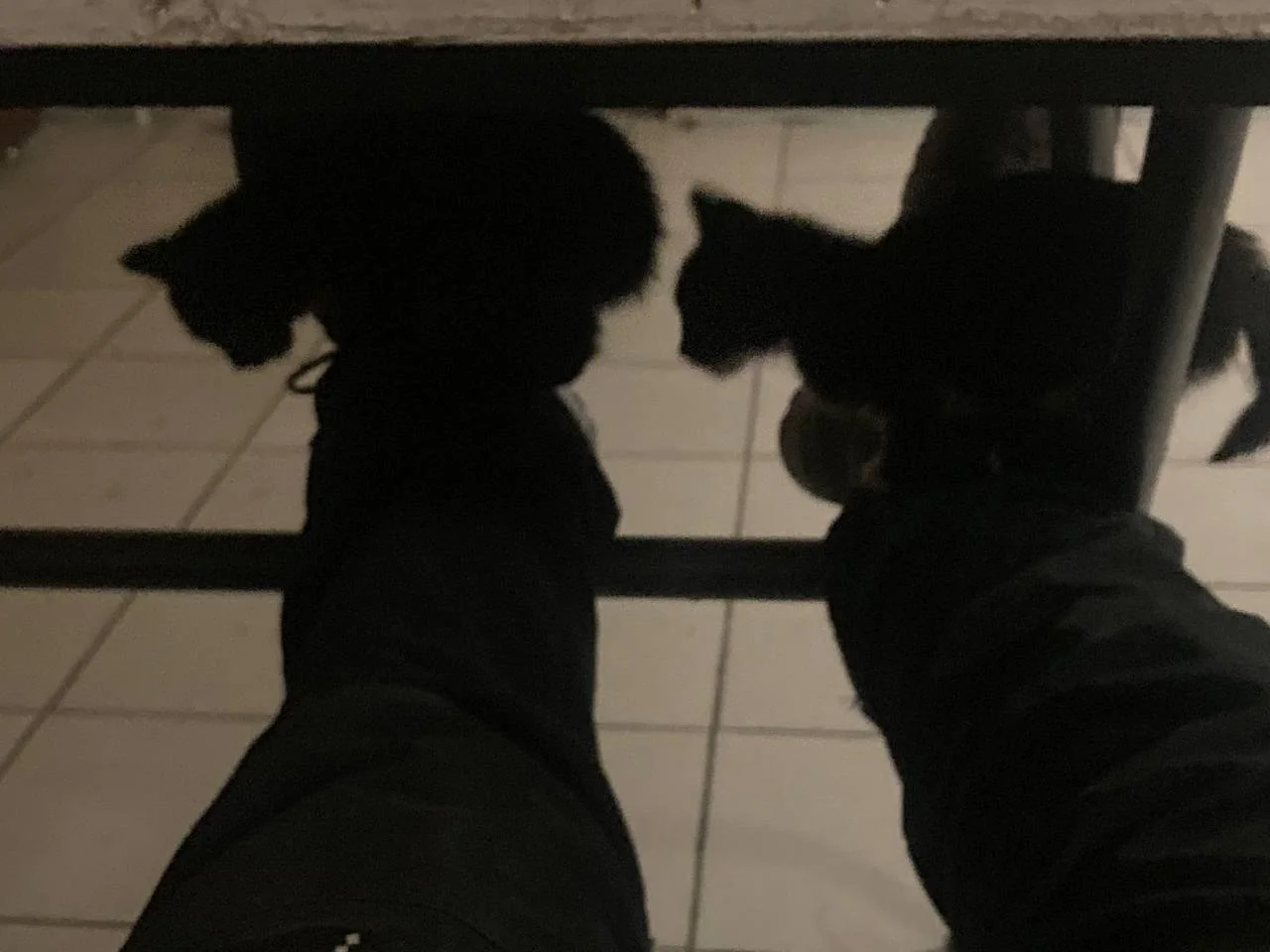 Изображение к публикации