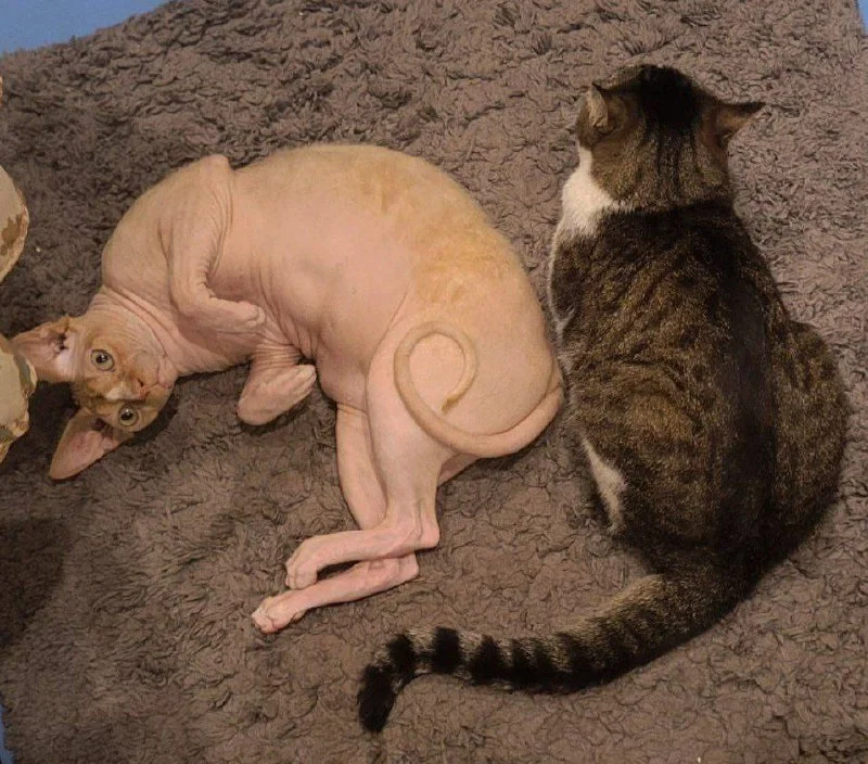 Изображение к публикации