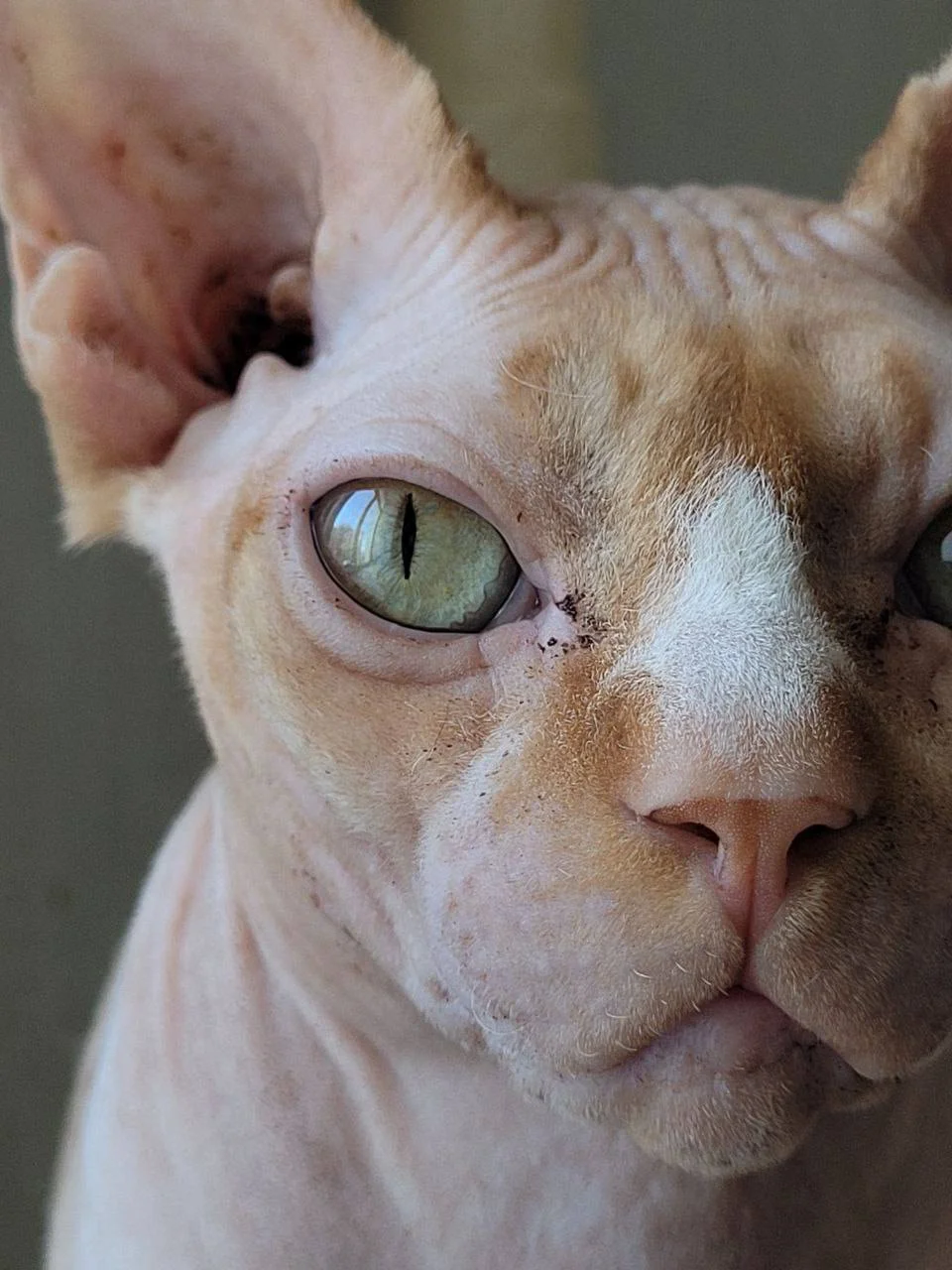 Изображение к публикации