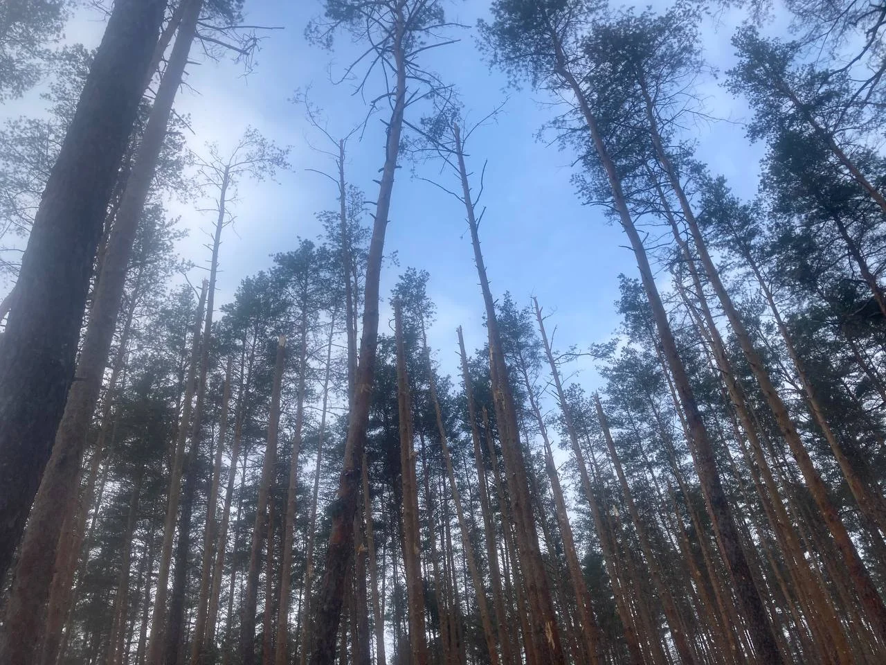 Изображение к публикации