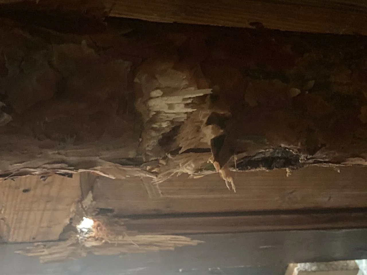 Изображение к публикации