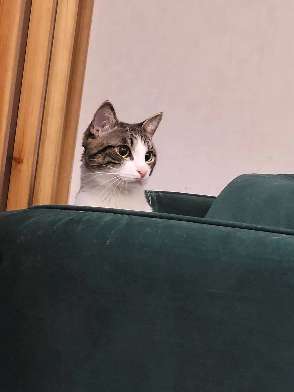 Изображение к публикации