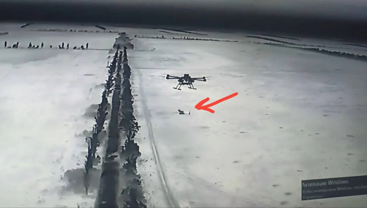 Изображение к публикации