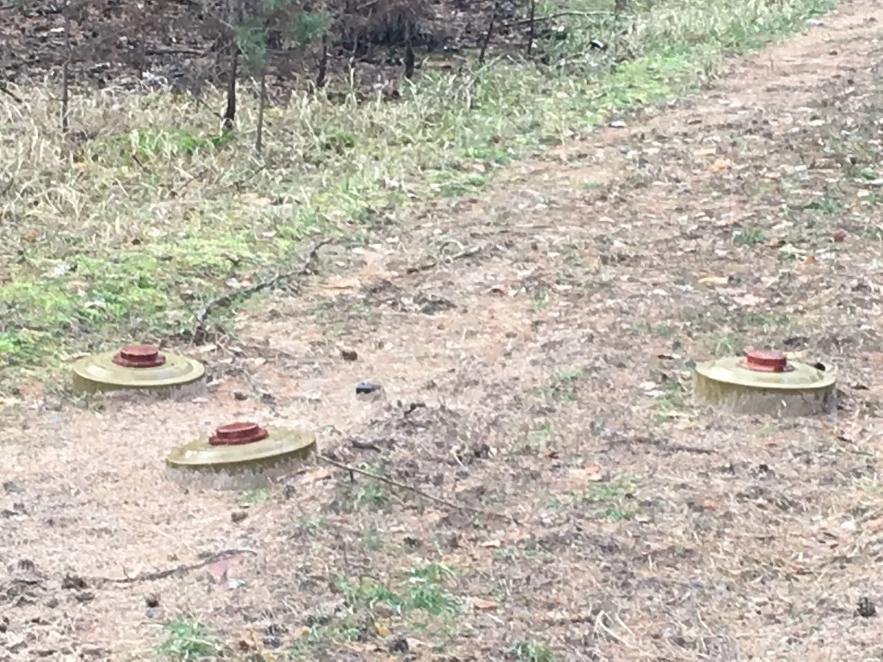 Изображение к публикации