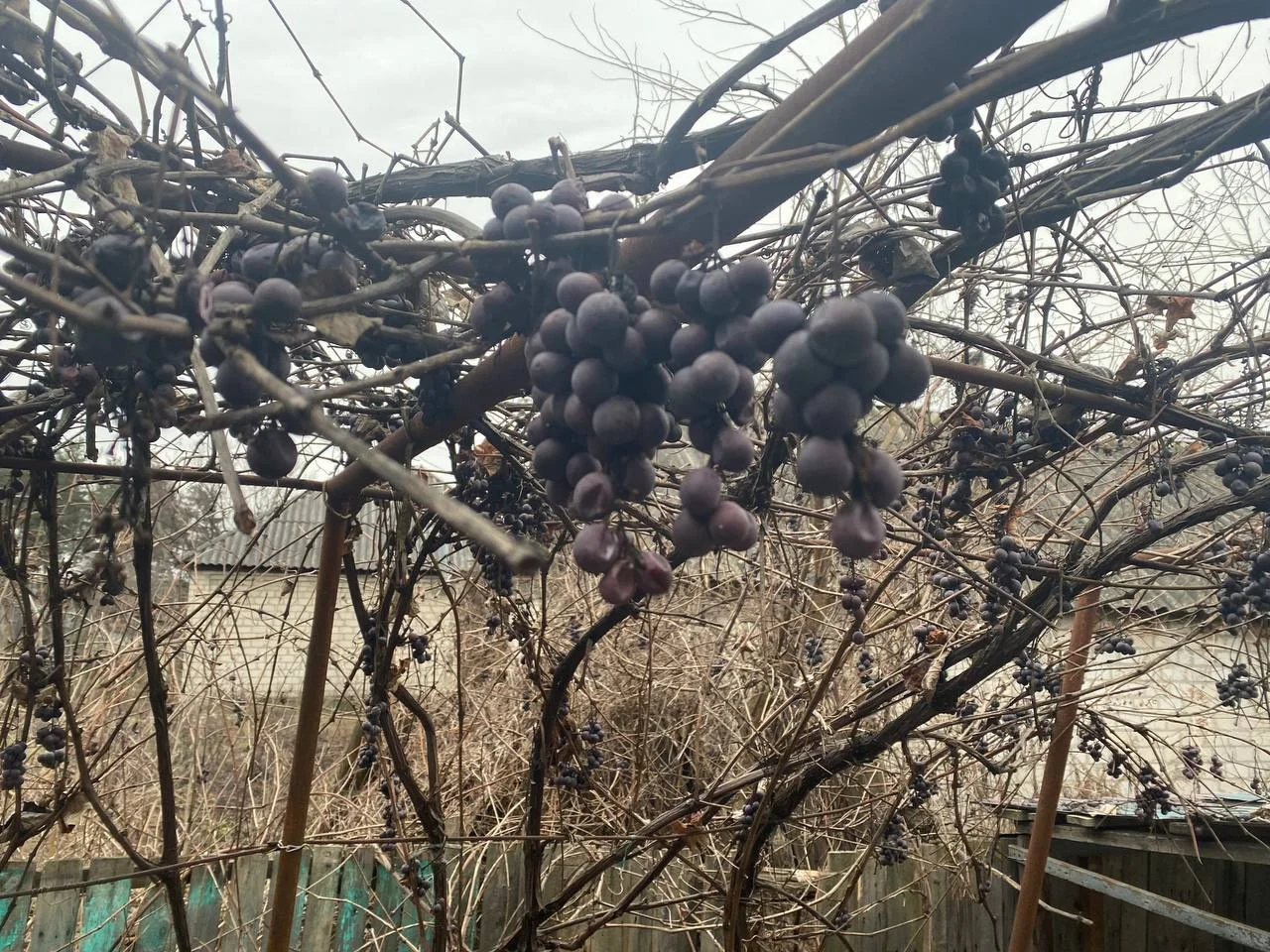 Изображение к публикации