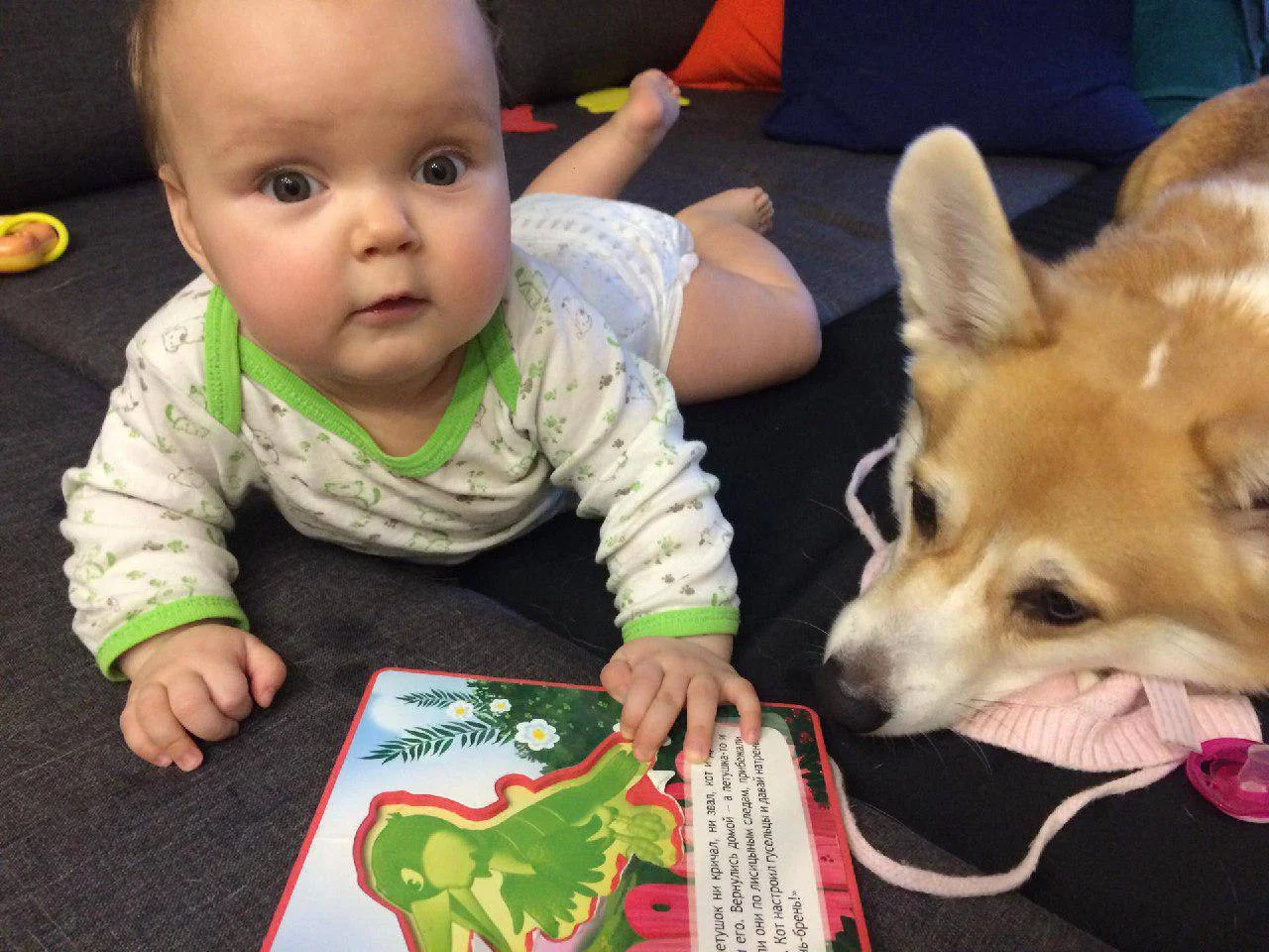 Изображение к публикации