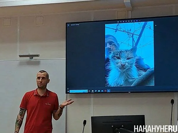 Изображение к публикации