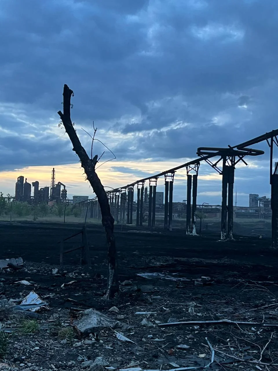 Изображение к публикации