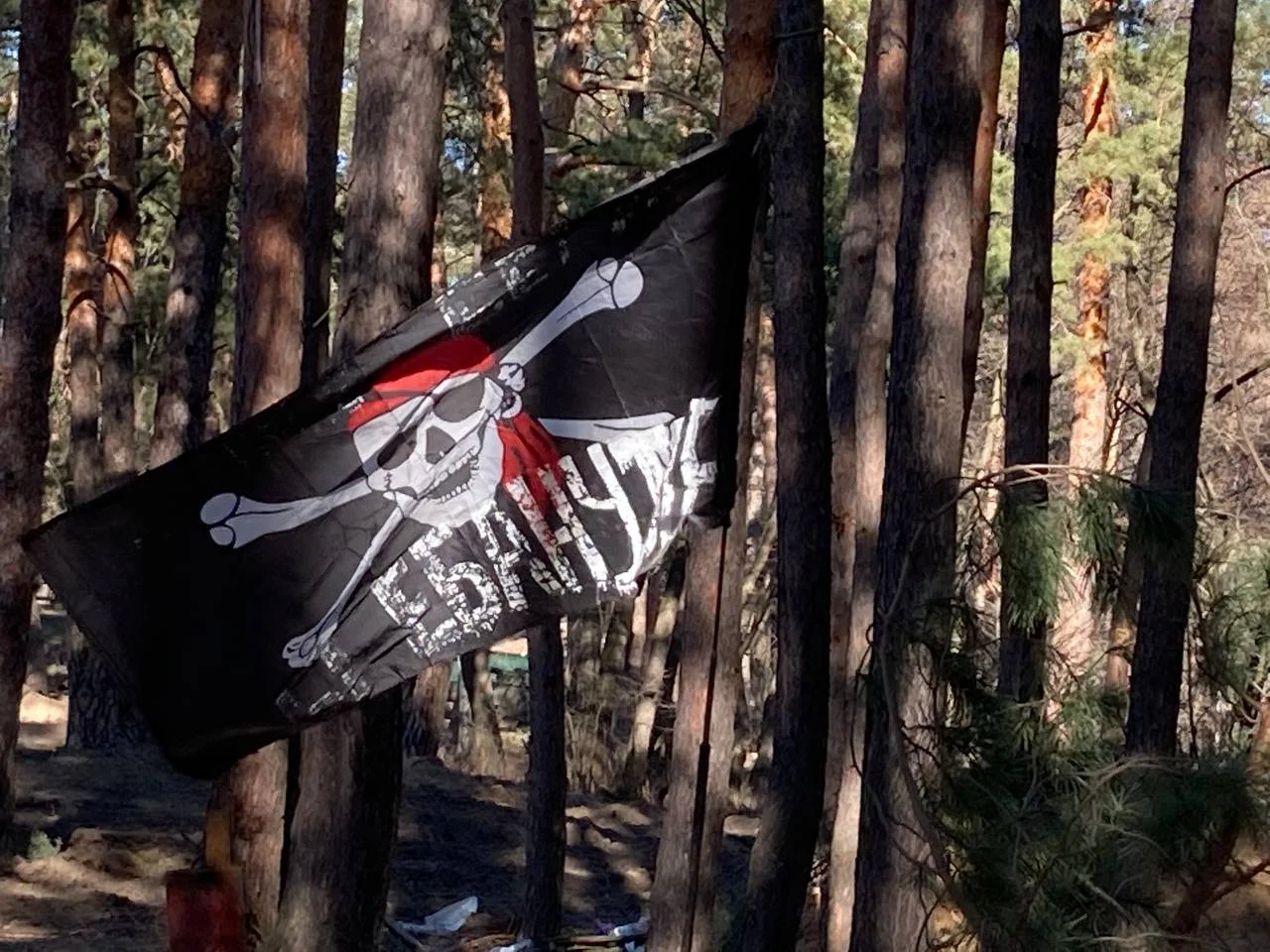 Изображение к публикации