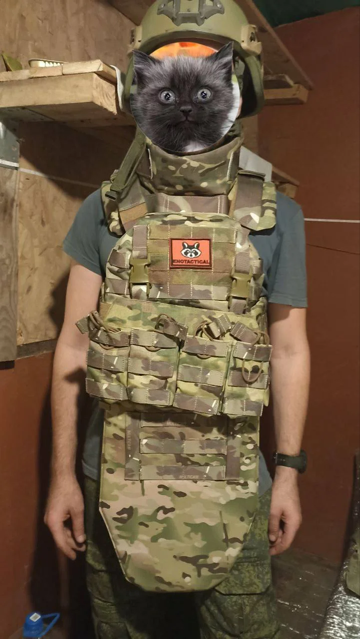 Изображение к публикации