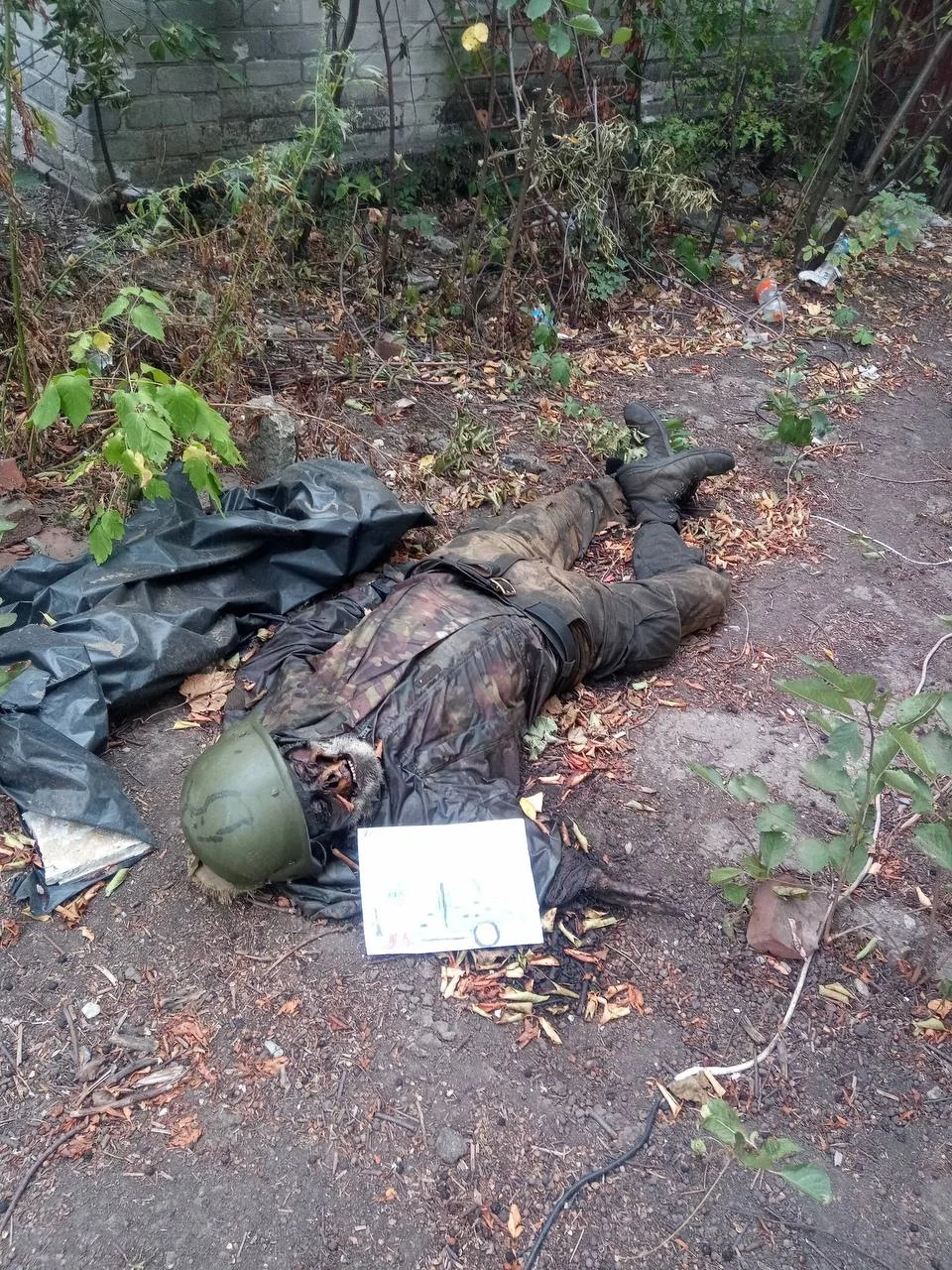 Изображение к публикации