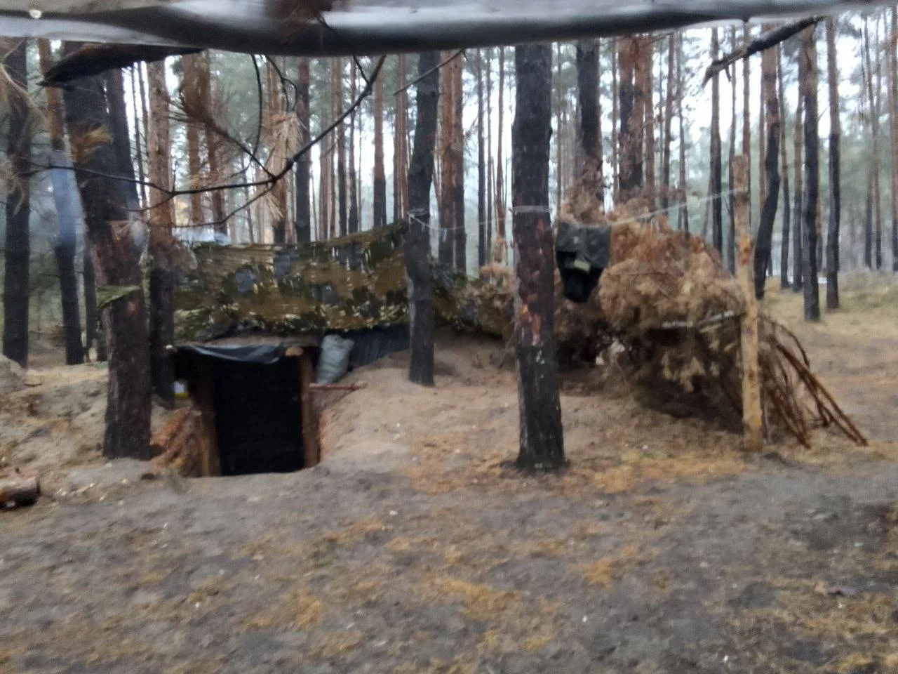 Изображение к публикации