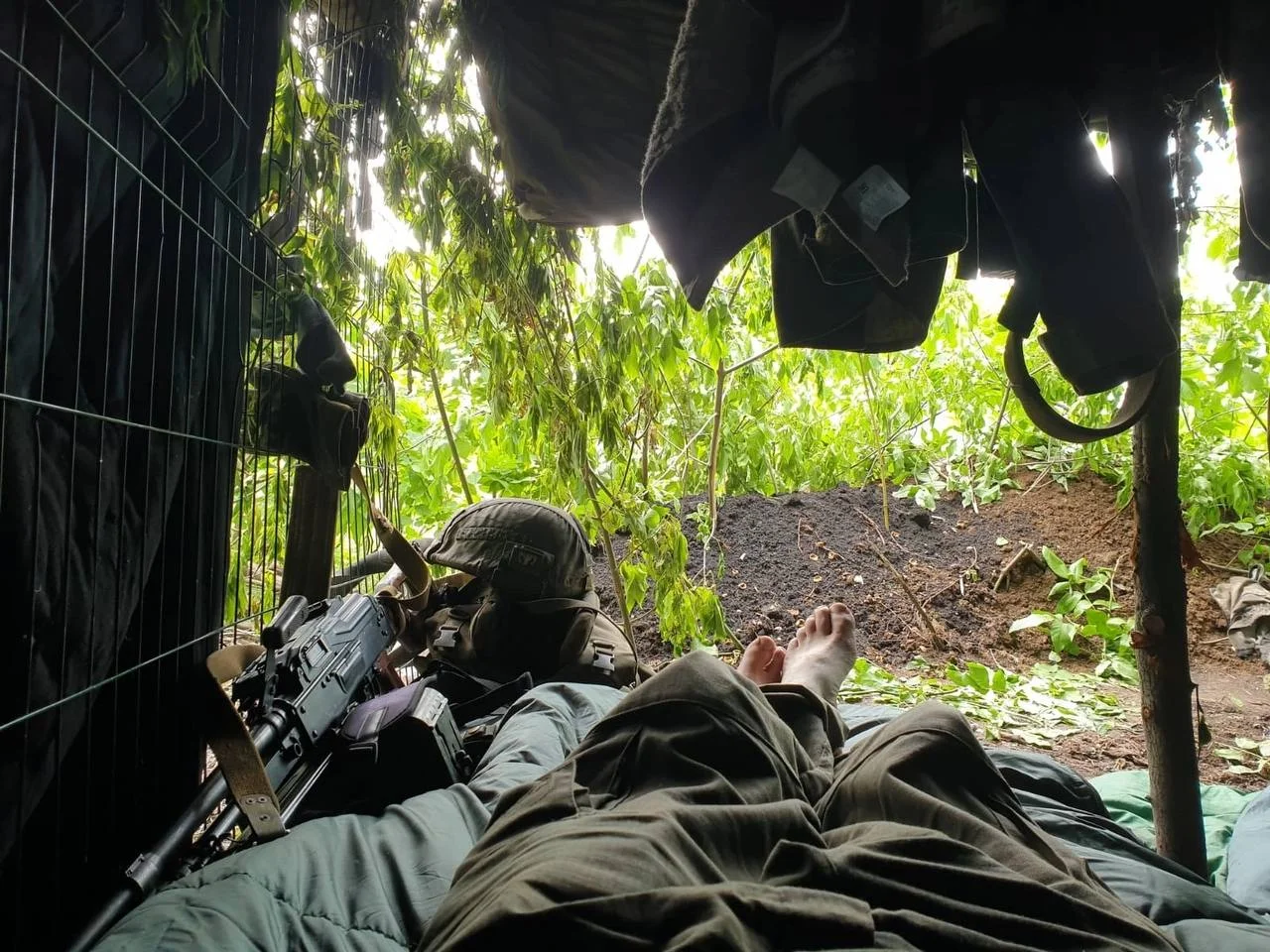 Изображение к публикации