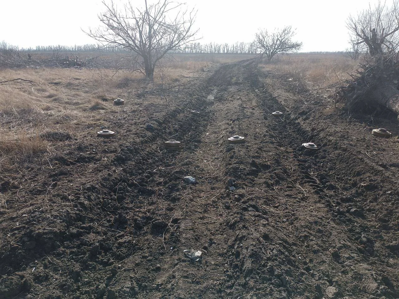 Изображение к публикации