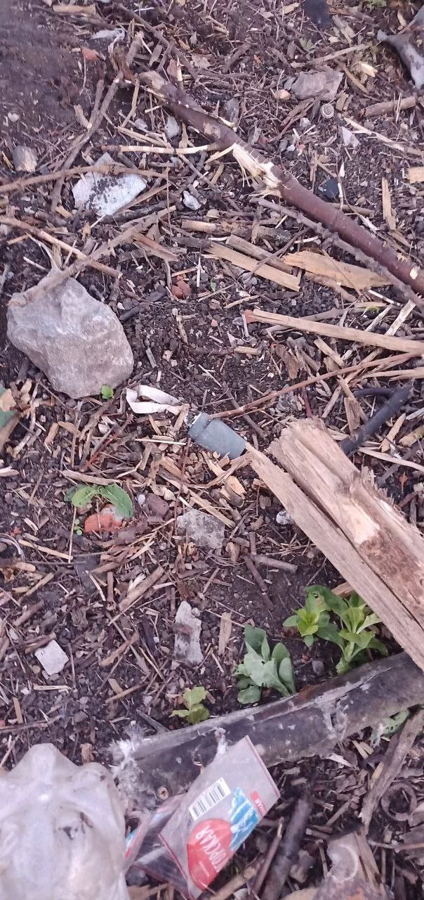 Изображение к публикации