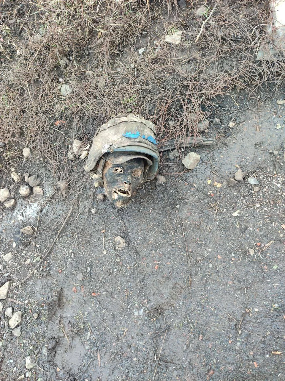 Изображение к публикации