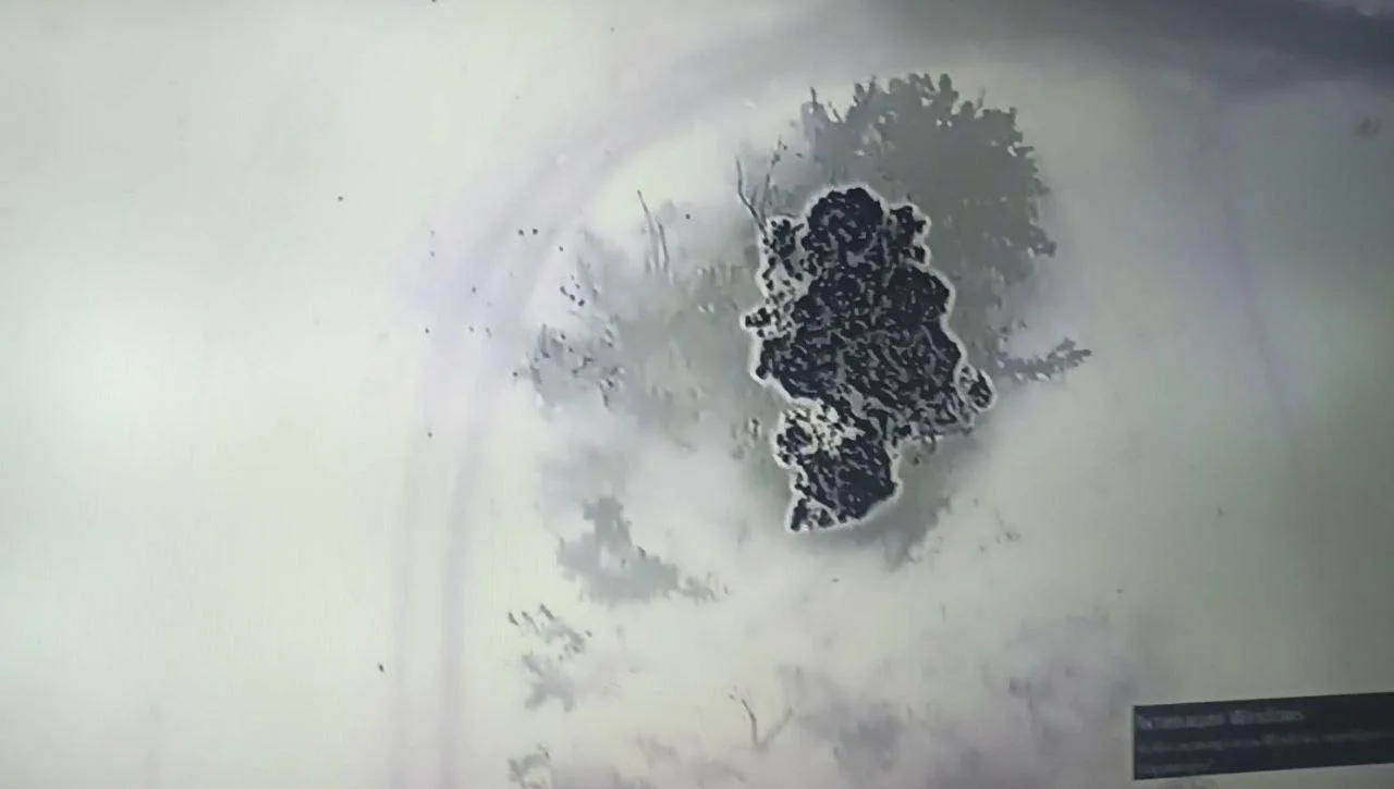 Изображение к публикации