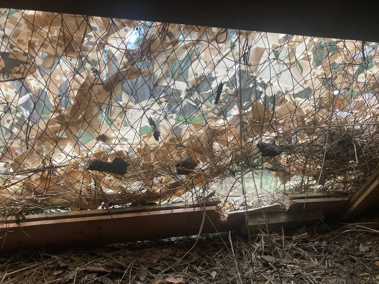 Изображение к публикации