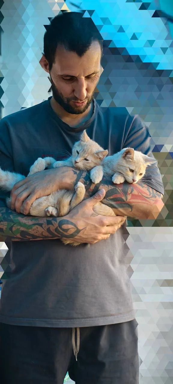 Изображение к публикации