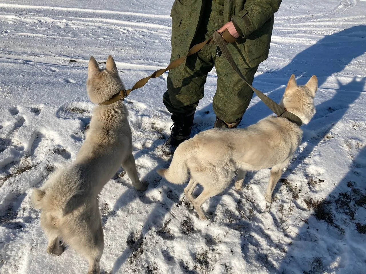 Изображение к публикации