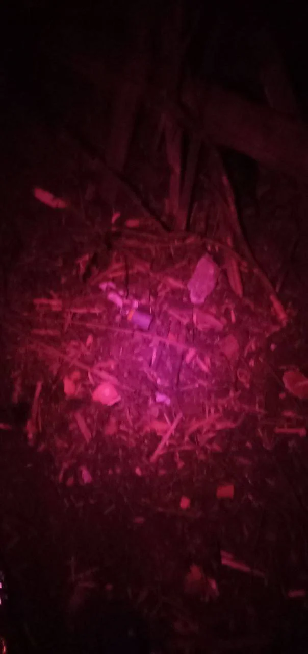 Изображение к публикации