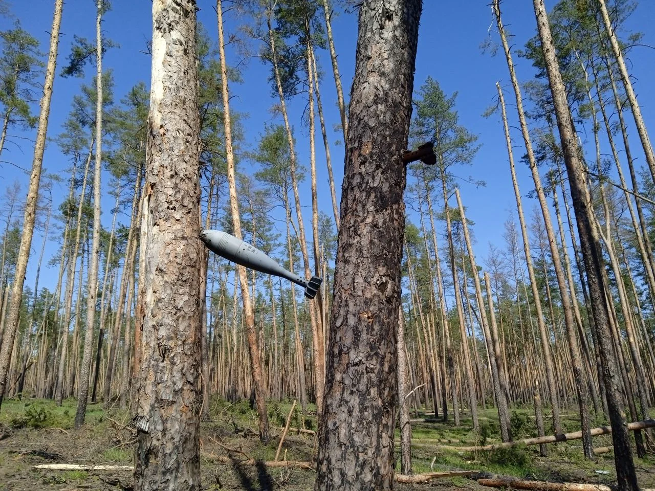 Изображение к публикации