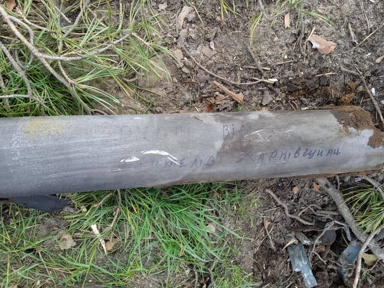 Изображение к публикации