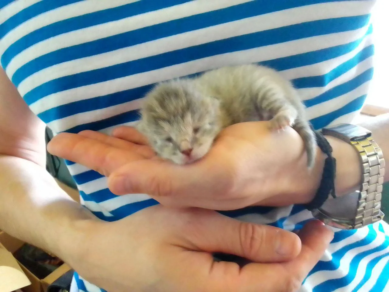 Изображение к публикации