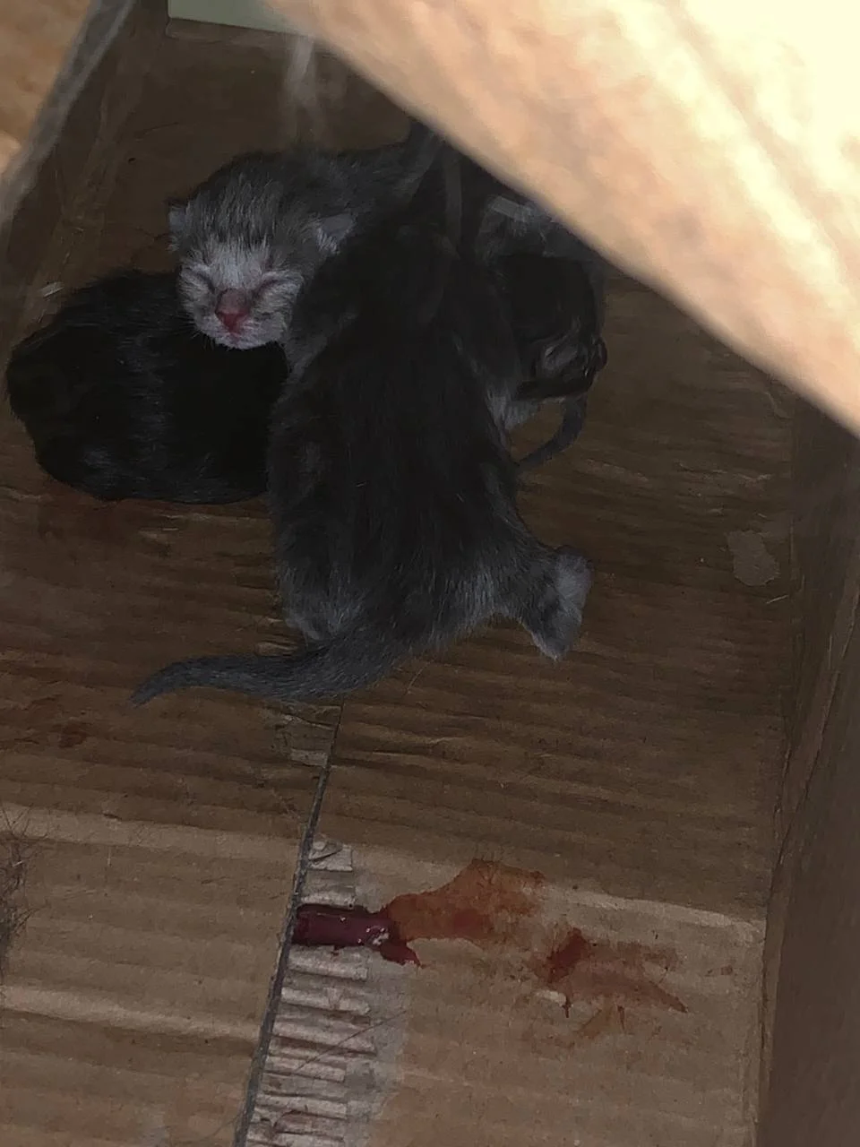 Изображение к публикации