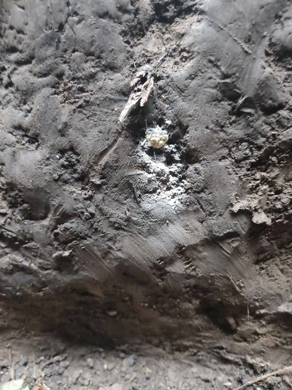 Изображение к публикации