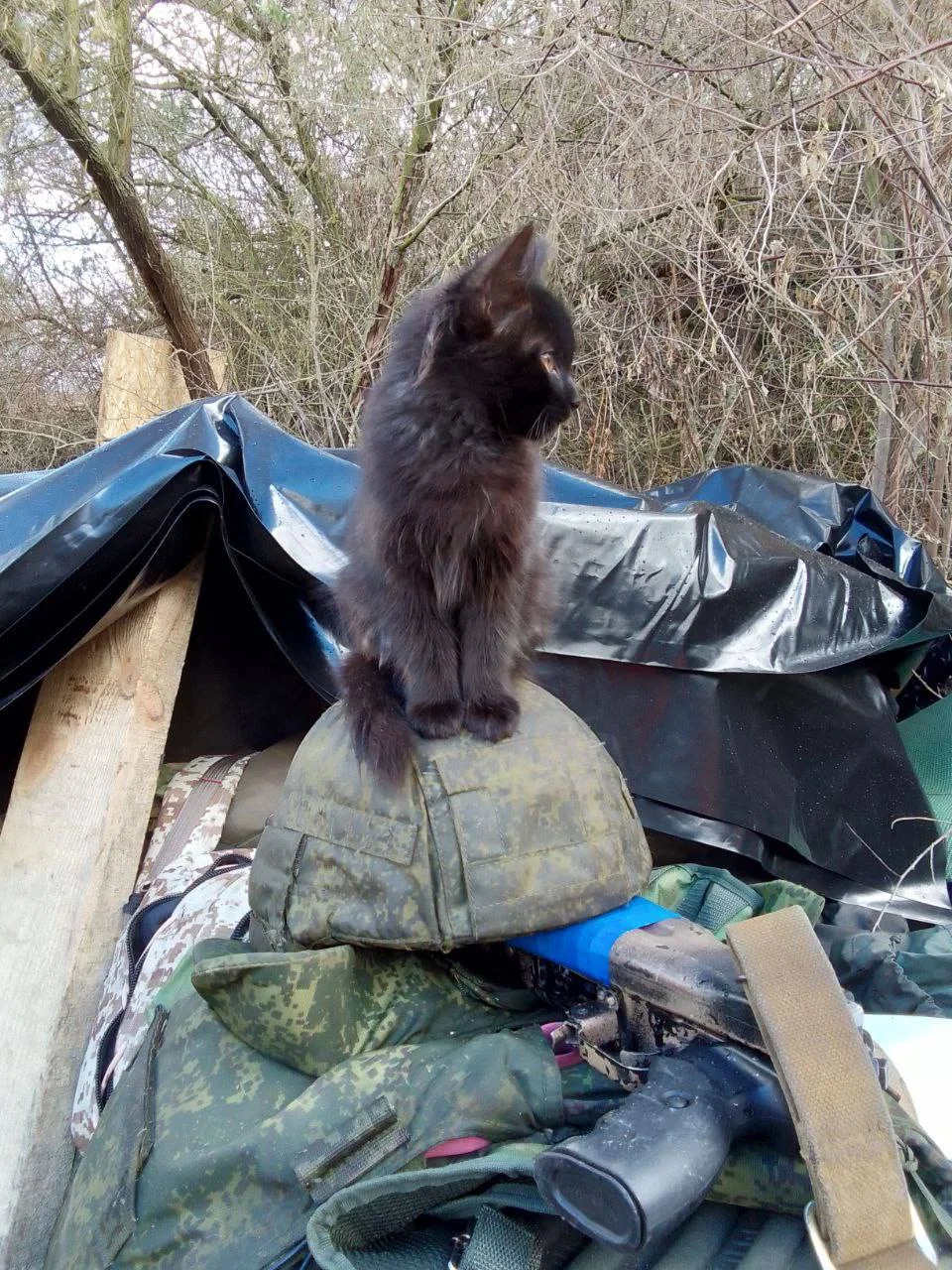 Изображение к публикации