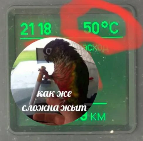 Изображение к публикации