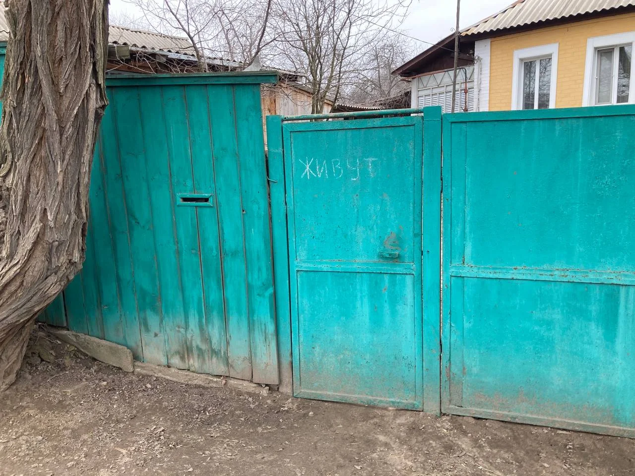 Изображение к публикации