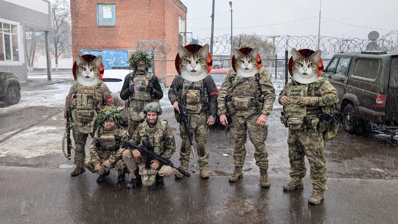 Изображение к публикации