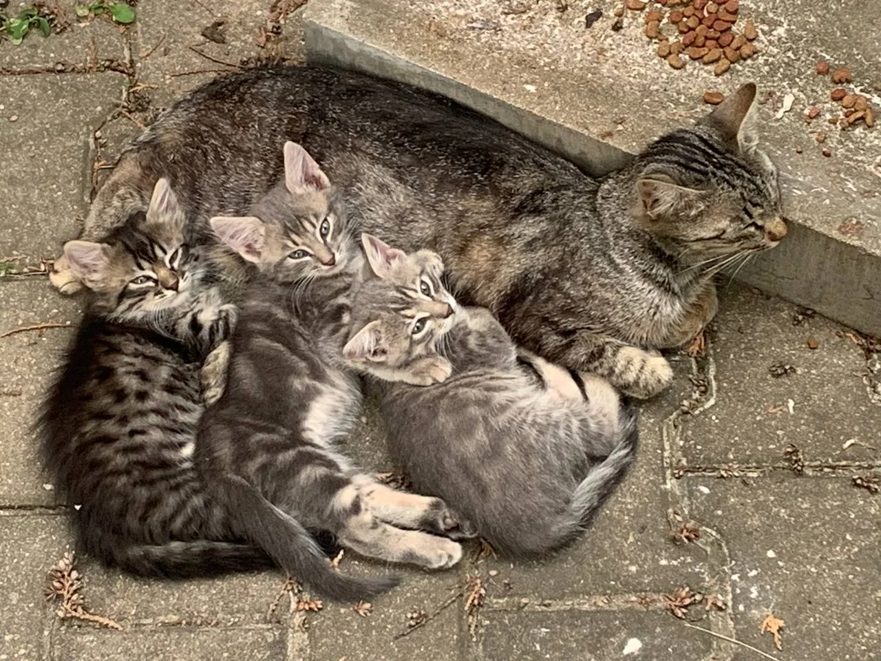 Изображение к публикации