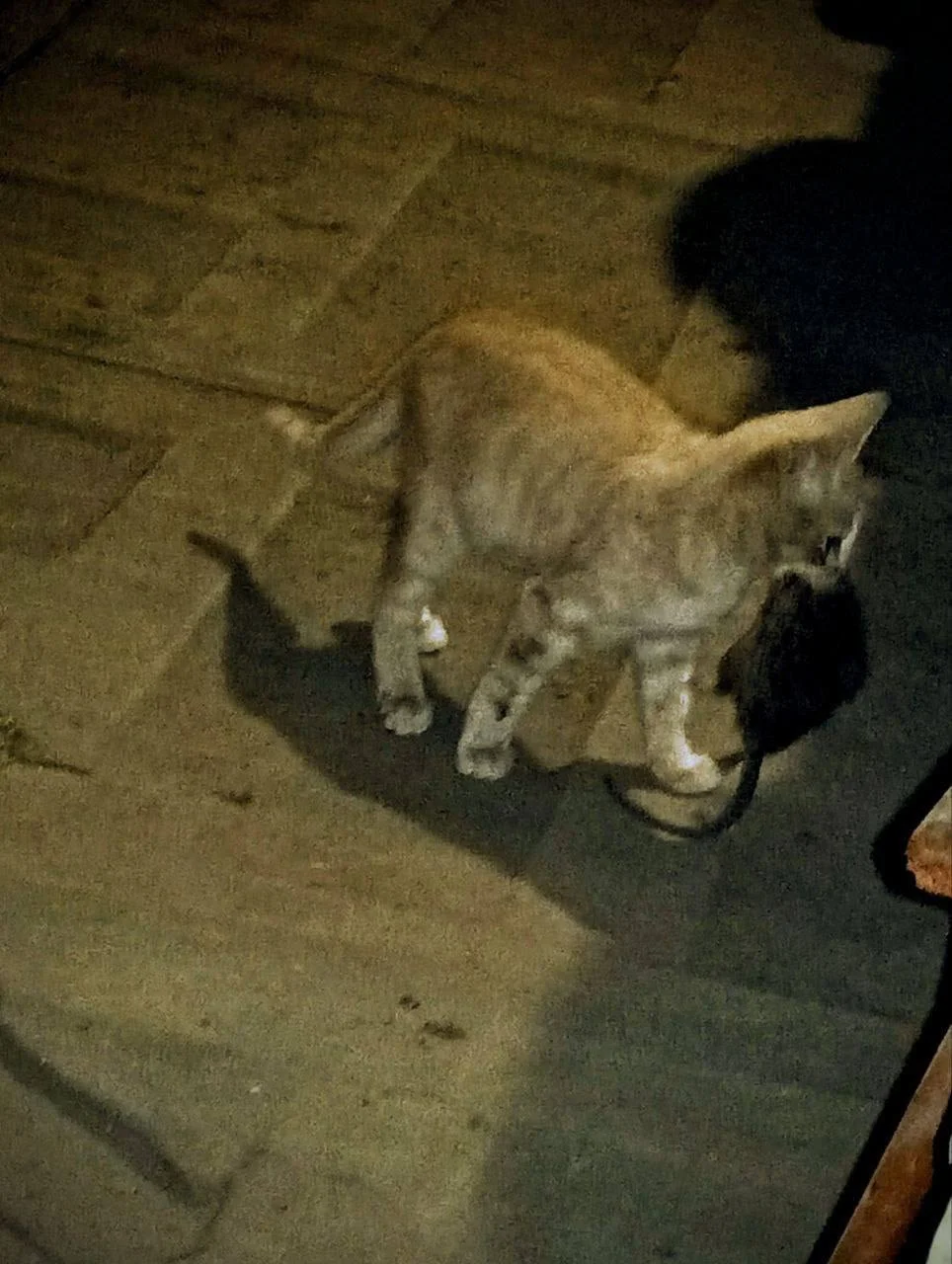 Изображение к публикации